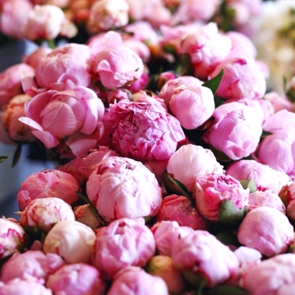 🌿 Meet Me  🌿 - Picture 2 of 16